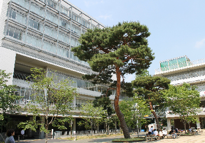 エルスタンザ喜多見 私立成城大学