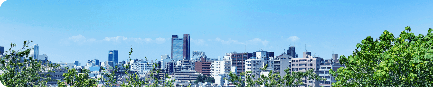 背景